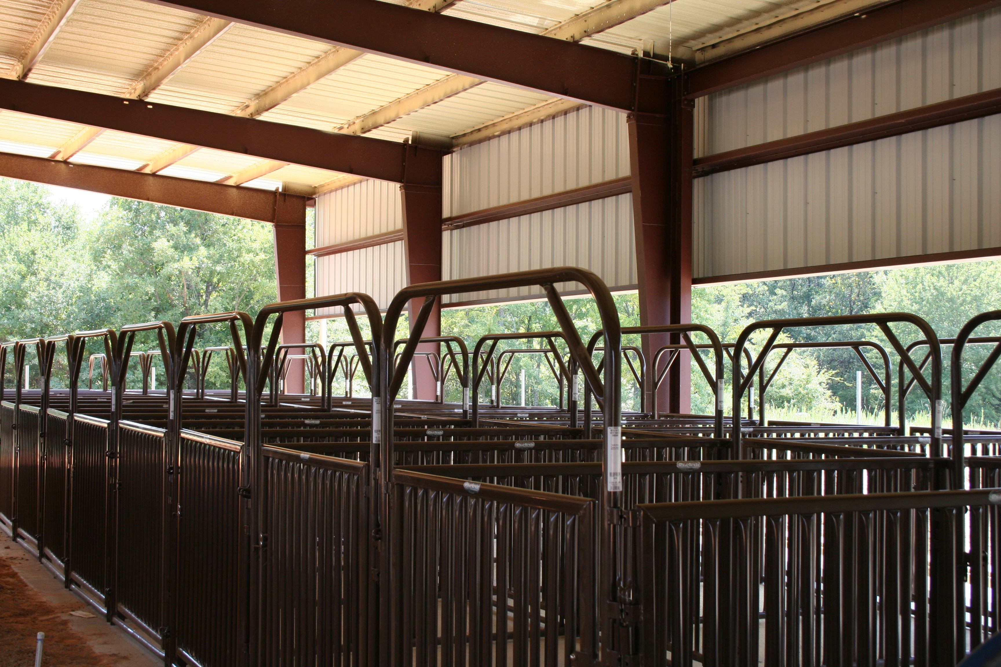 Sheep Hog SHP 01 Lifestyle.jpg